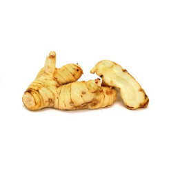 Vietnam Fresh Galangal
